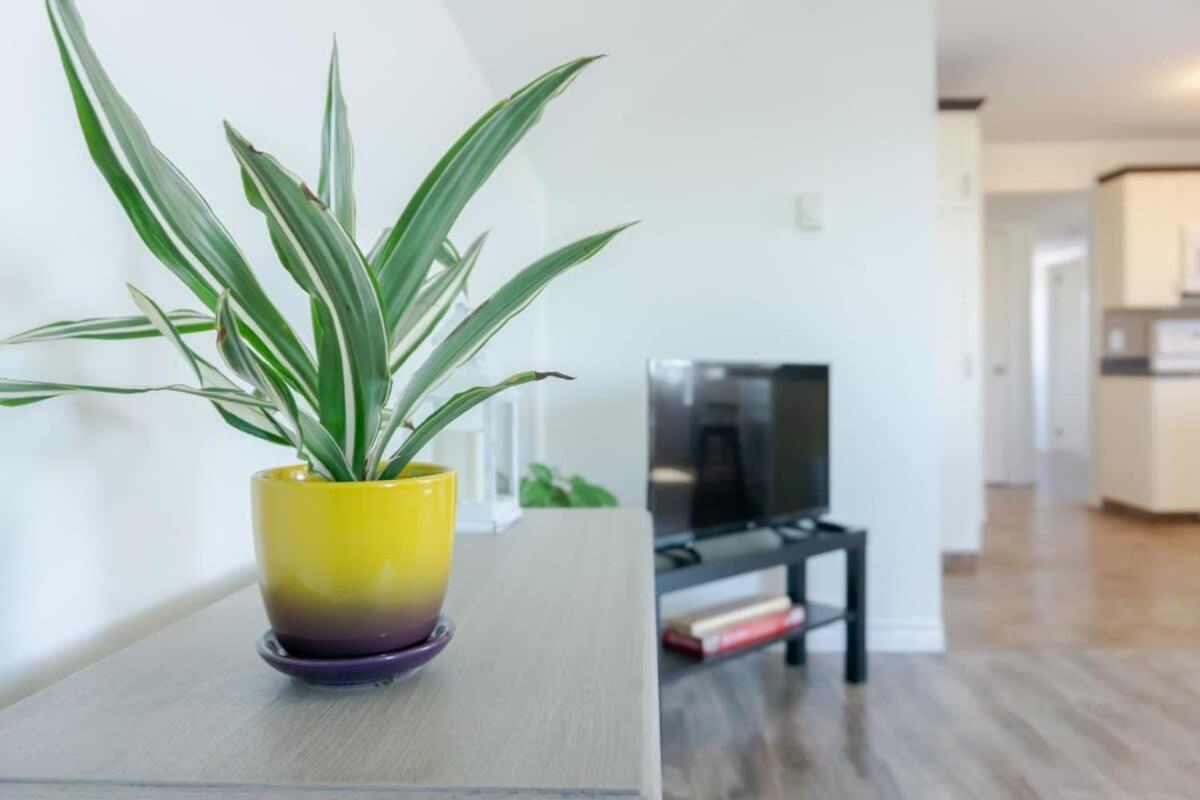 Amazing Location In Saint John 2 Bedroom Modern Parking New Bagian luar foto