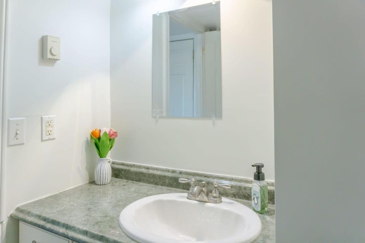 Amazing Location In Saint John 2 Bedroom Modern Parking New Bagian luar foto